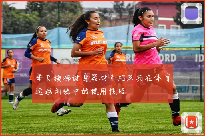 垂直横梯健身器材介绍及其在体育运动训练中的使用技巧