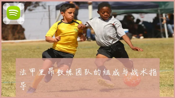 法甲里昂教练团队的组成与战术指导