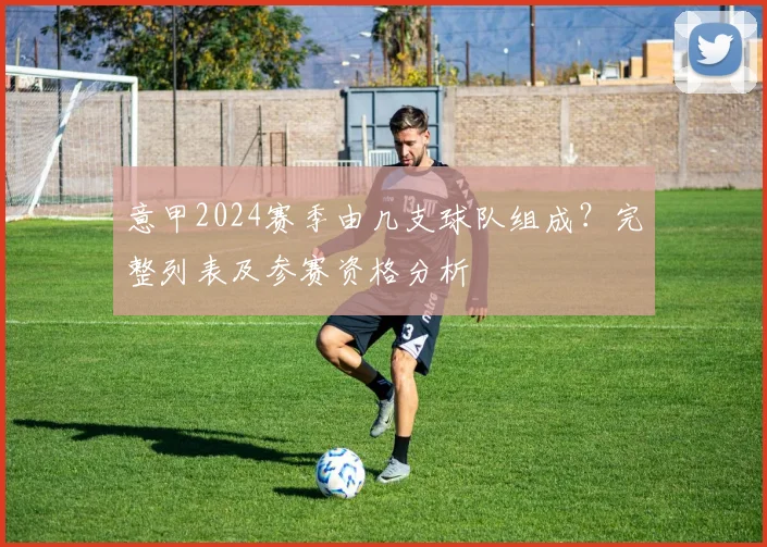 意甲2024赛季由几支球队组成？完整列表及参赛资格分析