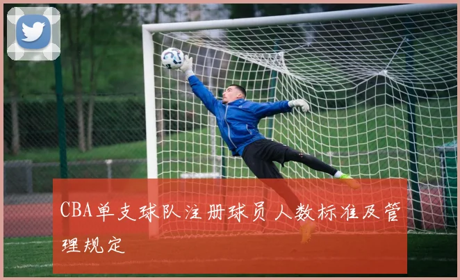 CBA单支球队注册球员人数标准及管理规定