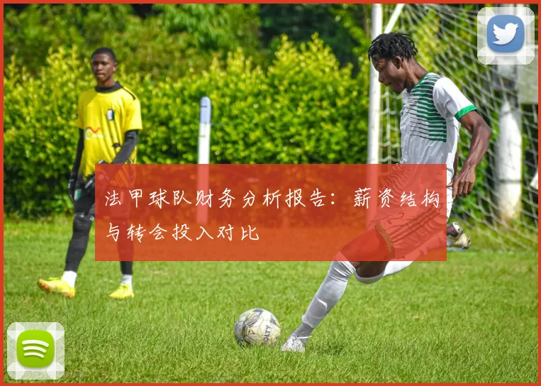 法甲球队财务分析报告：薪资结构与转会投入对比