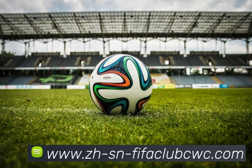 世界杯平台发展历程